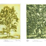 'A Celebration of The Tree' at the Open Door Gallery