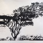 Art of Printmaking