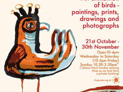 Birdland, an exhibition of bird pictures