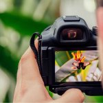 Digital SLR Photograph course