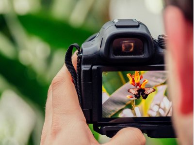 Digital SLR Photograph course