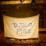 Disco Pigs