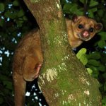 Easter Half Term Exotic Animals!