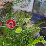Flower Weaving Workshop