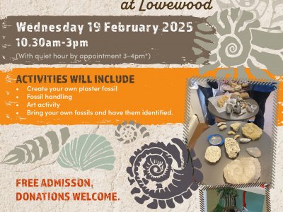 Fossil Fun at Lowewood Museum