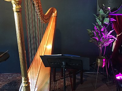 Imaginary Landscapes - Poetry and Harp Performance