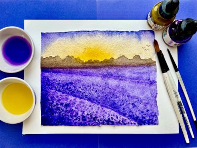 Lovely Lavender Fields