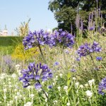 Painting Day - Art in the Garden