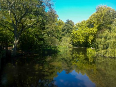 Picture This..! February Photography Walk at Cassiobury Park