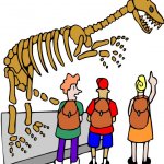 Summertime at Hertford Museum - Dinosaur Discoverers
