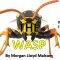 The Wasp / <span itemprop="startDate" content="2020-02-06T00:00:00Z">Thu 06</span> to <span  itemprop="endDate" content="2020-02-08T00:00:00Z">Sat 08 Feb 2020</span> <span>(3 days)</span>