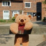 Virtual Teddy Bear Fun Day