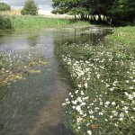 Water: The Bigger Picture, photography exhibition