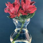 Alstroemeria