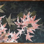 JAPANESE MAPLE