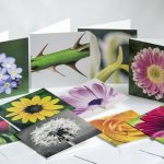 Garden Photo Cards