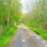 Railway Bridge on Raffin Green Lane - 16th April 2020