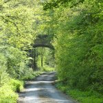 Railway Bridge on Raffin Green Lane - 23rd April 2020