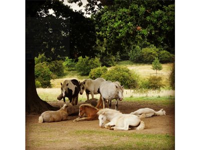 Photographic Competition WINNERS!