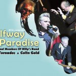 Halfway to Paradise - The Billy Fury Story