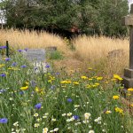 Rectory Lane Cemetery Earth Day Volunteers Afternoon