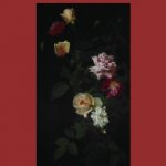 The Rose in Poetry: illustrated poetry anthology