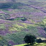 A River Runs Through It - Walk - 3 ml circular to Malkinhouse,