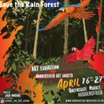 Art Exhibition - Save the Rain Forest