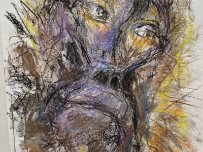 Drawing and Painting Monday