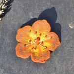 Embroidered Brooch Making