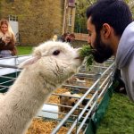 Family Farm Fun Day