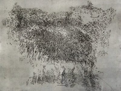 Further Etching – Sugarlift Aquatint