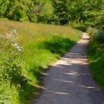 Go for an accessible walk with Holmfirth Arts Festival 2022