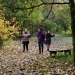 Making Tracks - ART IN THE WOODS, Inclusive Outdoor Art Workshop