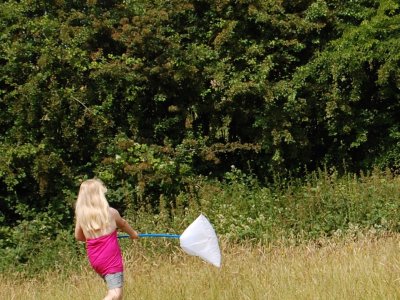 Seasonal Oakwell - Summer Activity Trails