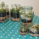 Terrarium & Mini Macrame Workshop at The Peppercorn