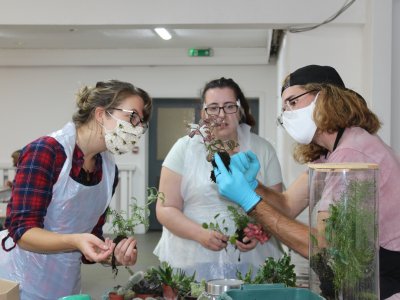 Terrariums - XMAS WEDNESDAY WORKSHOP