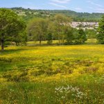 The Holme Valley Housing Crisis (films and discussion)