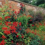 The Subtle Science and Exact Art of Colour in Garden Design