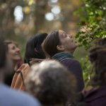 Tree Time at Bagshaw Museum and Wilton Park