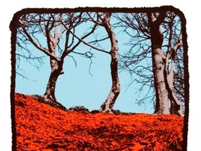 Turning Photographs into Screen Prints at WYPW