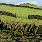 Dry-stone walls