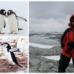 Adele Jackson heads to Antarctica