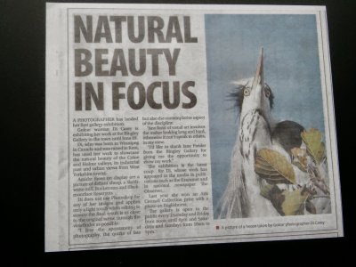 In The Examiner