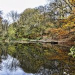 Kirklees participants wanted for walking inspired textile art