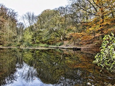 Kirklees participants wanted for walking inspired textile art