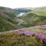 Marsden National Trust