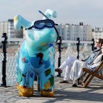 Snowdogs Support Life, Kirklees – Call to Artists
