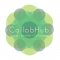 Liz Dobson CollabHub