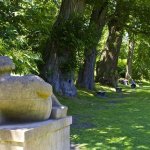 Dartington Gardens tours